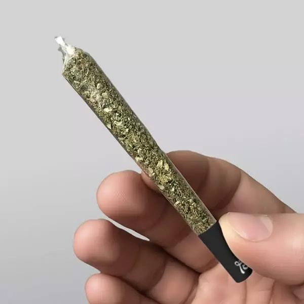 Lion Rolling Circus 4:20 Transparentpapier - Billig Grow