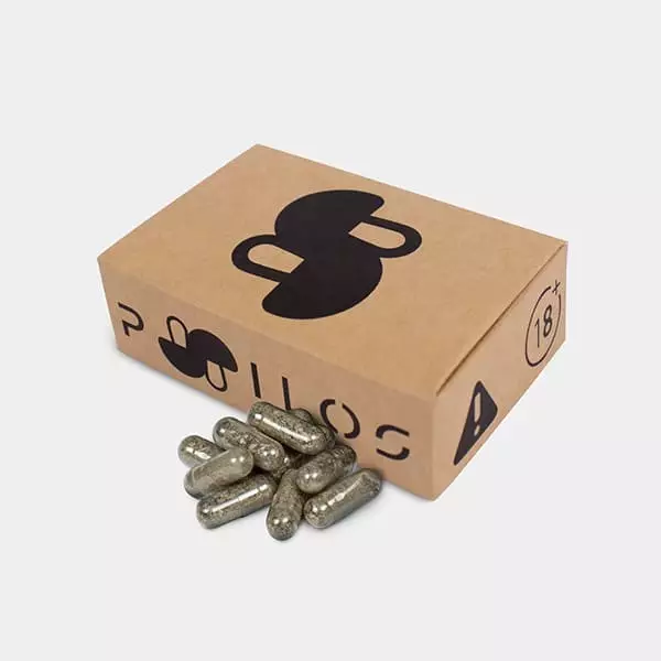 MikrodosierungsKapseln aus Psilocybe-Pilzen - GB