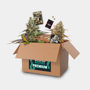 View Breeder Box Premium