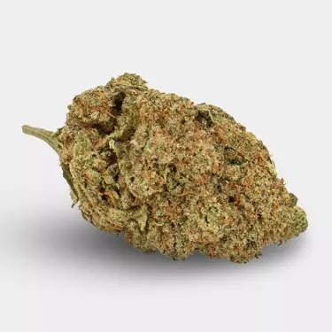 Blumen CBD KEMA 'Amnesia Haze' 🌸🌺- GB The Green Brand