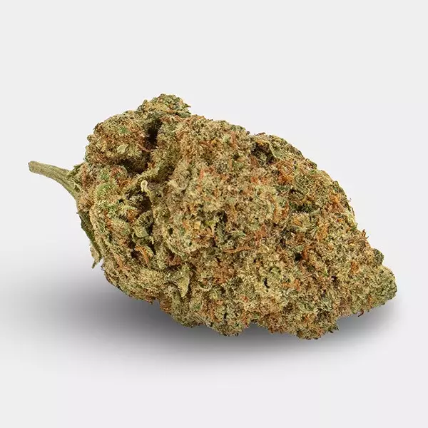 Blumen CBD KEMA 'Amnesia Haze' 🌸🌺- GB The Green Brand