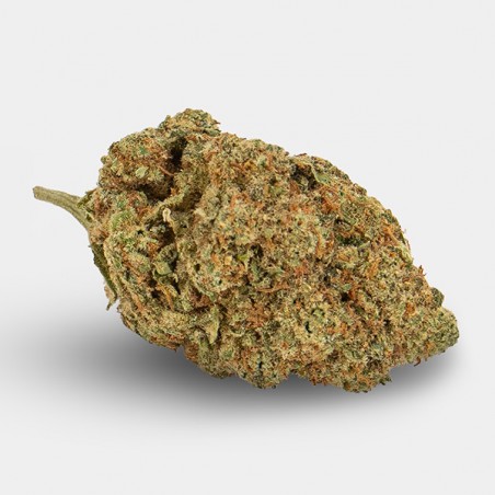 CBD-Blüten KEMA 'Amnesia Haze'