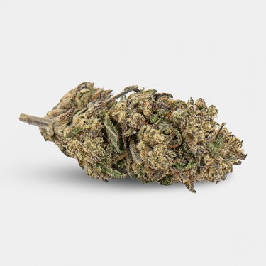 Blumen CBD KEMA 'Plutonium' 💥☄️- GB The Green Brand