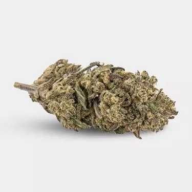 Blumen CBD KEMA 'Plutonium' 💥☄️- GB The Green Brand