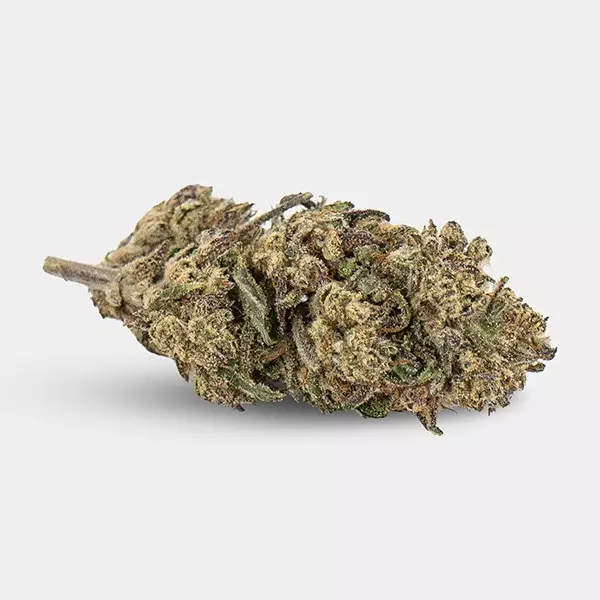 Blumen CBD KEMA 'Plutonium' 💥☄️- GB The Green Brand