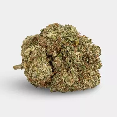 Blumen CBD KEMA 'Blueberry Muffin' 🧁- GB The Green Brand