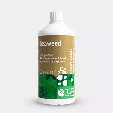 Seaweed Terra Aquatica (GHE)