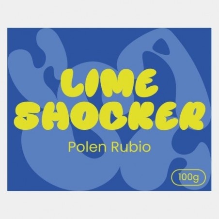 Blonde Pollenplatte Lime Shocker | Premium-Zitrusaroma