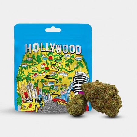 CBD-Blüten 'Hollywood' Cookies
