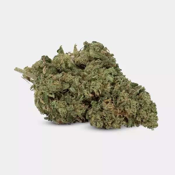 CBD-Blüten GB Outdoor OG Kush - GB The Green Brand