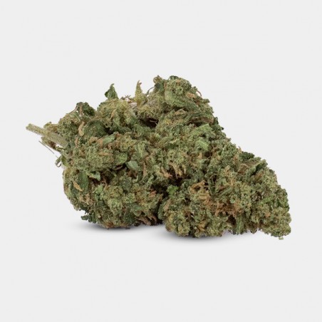 CBD-Blüten GB Outdoor OG Kush - GB The Green Brand