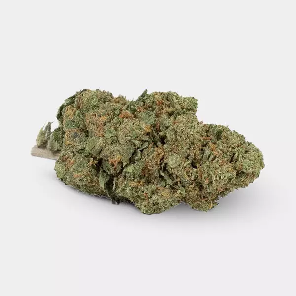 Blumen CBD GB Outdoor Moby Dick - GB The Green Brand