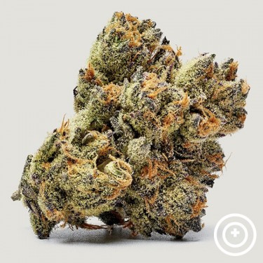 View Honey Runtz Purple City Genetics