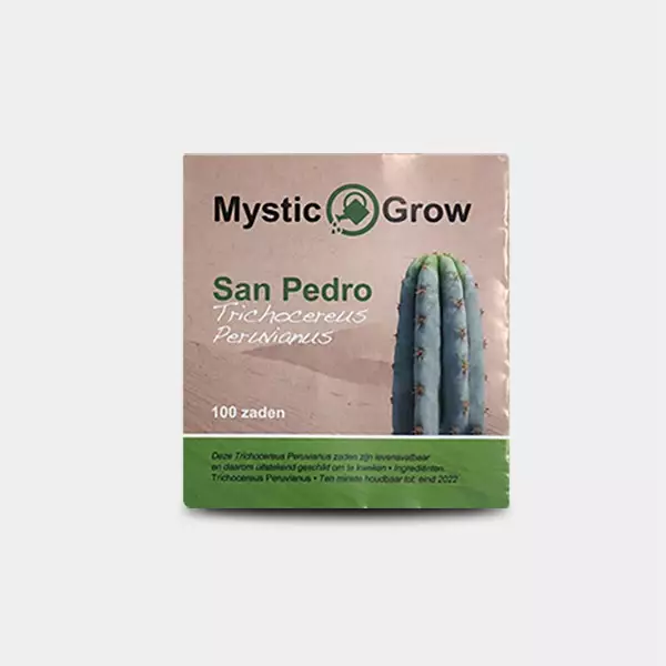 Sicht San-Pedro-Samen