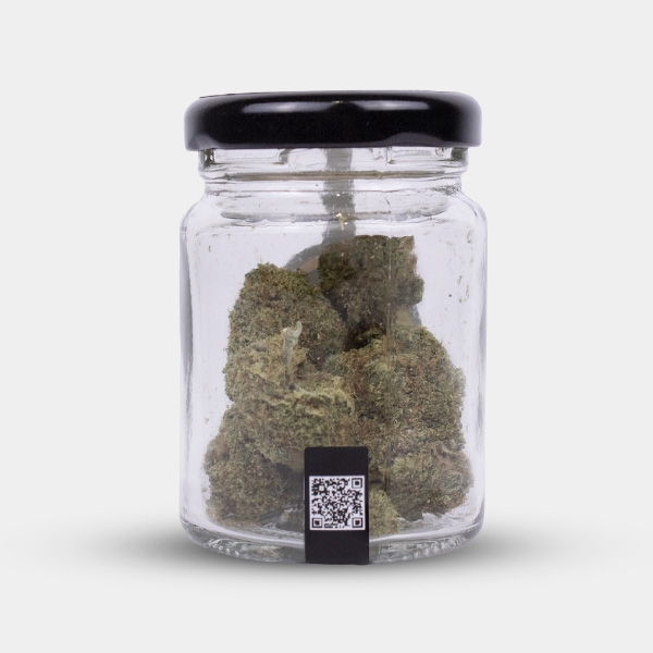 CBD-Blüten North Thunderfuck Cocori Kush ⚡