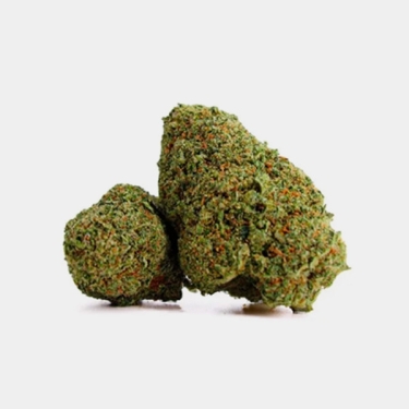 CBD X Haze Cocori Kush Blüten