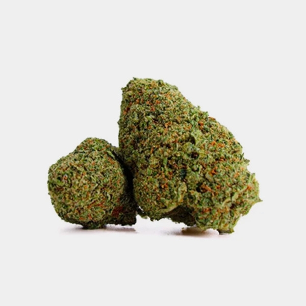 CBD X Haze Cocori Kush Blüten