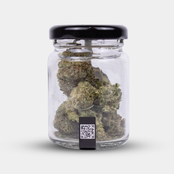 CBD X Haze Cocori Kush Blüten