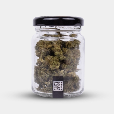 CBD-Blüten Wedding Cake Cocori Kush 🍰 Süße in Reinform