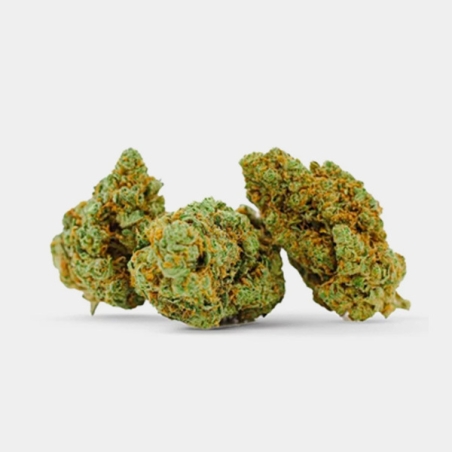 Manley Kush: Kalifornische CBD-Blüten mit orientalischem Charakter