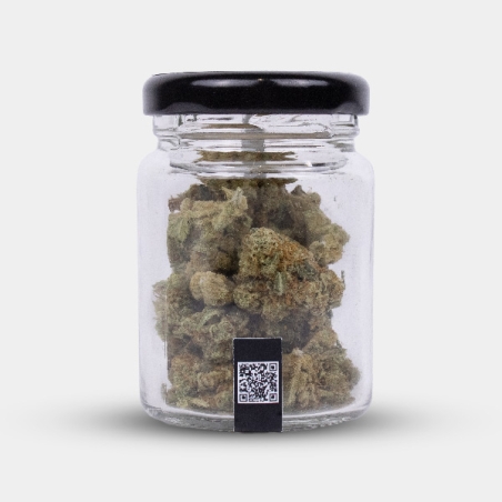 Manley Kush: Kalifornische CBD-Blüten mit orientalischem Charakter