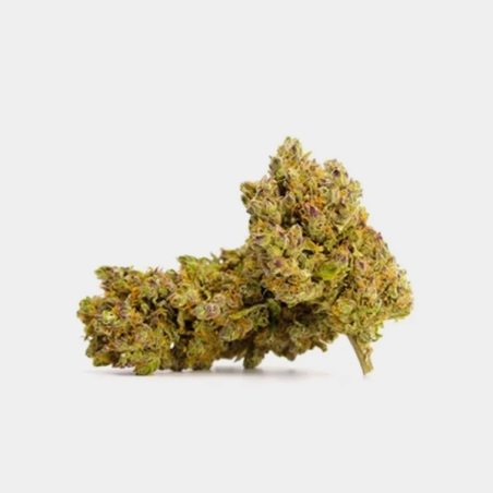 Stärke und Charakter mit Royal Gorilla CBD-Blüten