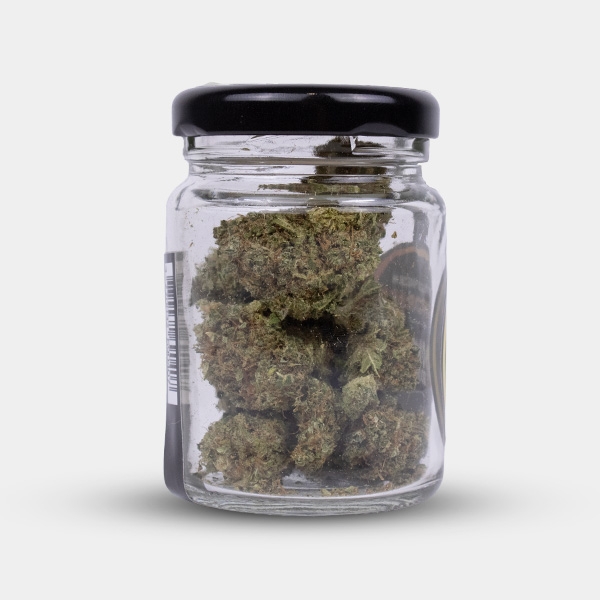 Stärke und Charakter mit Royal Gorilla CBD-Blüten