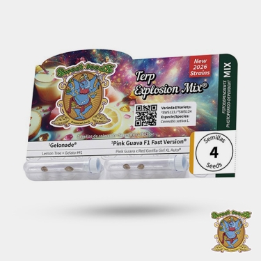 Terp Explosion Mix Sweet Seeds | Packung mit aromatischen Samen
