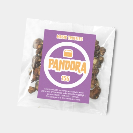 Pandora Trüffel kaufen | Kraftvoll und mystisch ✨ Hohe Qualität