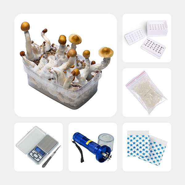 Sicht Psilocybin-Mikrodosierungs-Kit Pro | GB The Green Brand