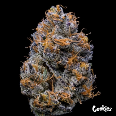 Velvet Cream Cookies Seed Bank