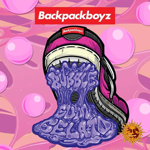 Sicht Bubblegum Gelato (Barney's x Backpack Boyz) - GB The Green Brand