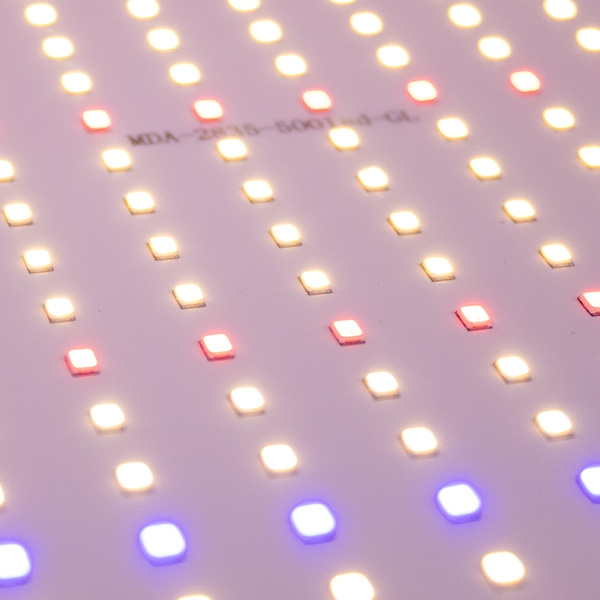 LED-Panel 50 W Vollspektrum SG-Q50W für den Indoor-Anbau