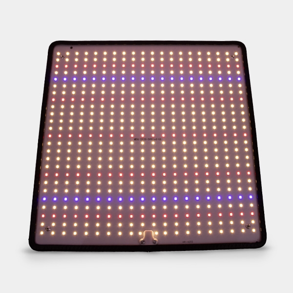 LED-Panel 50 W Vollspektrum SG-Q50W für den Indoor-Anbau