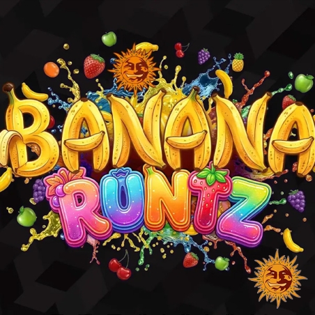 Banana Runtz F1 Hybrid – Aussehen