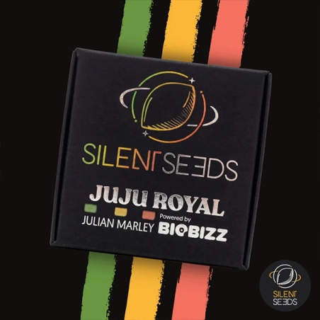 Jamaican Sunset von Julian Marley | GB