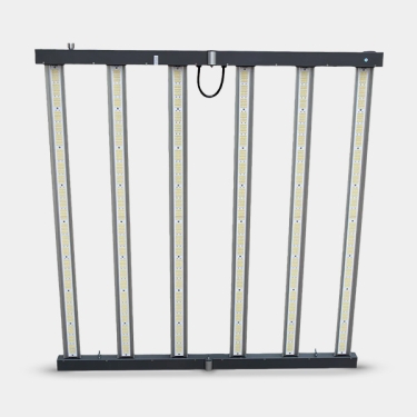 June DC Corelux 720 W 2.9 LED frontal