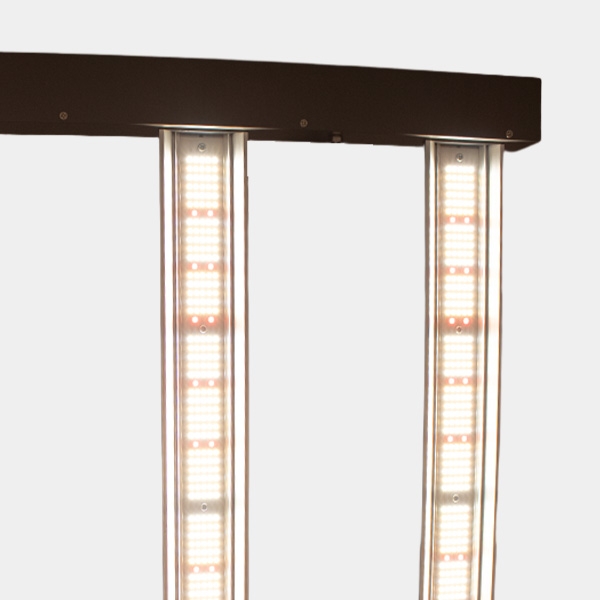 Hortilight JUNE CORELUX 720W LED | GB The Green Brand