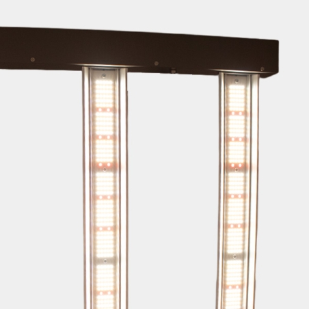 Hortilight  JUNE CORELUX 720W LED | GB The Green Brand