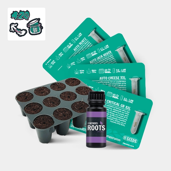 Sicht GB Seeds Box – GB The Green Brand