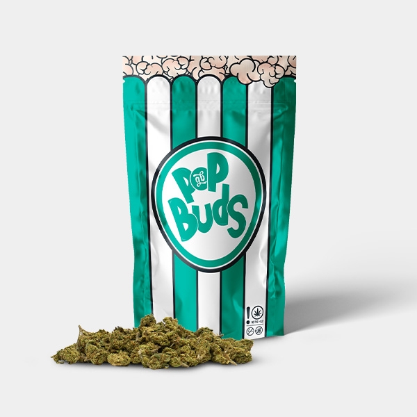 Summer Cooling Kit Summer Cooling Kit - GB The Green Brand
