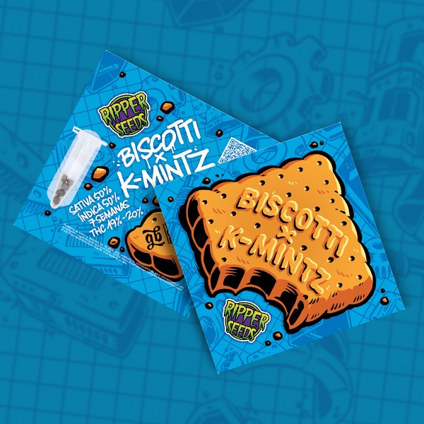 Sicht K-Mintz Biscotti Ripper Seeds x GB | Limitierte Auflage