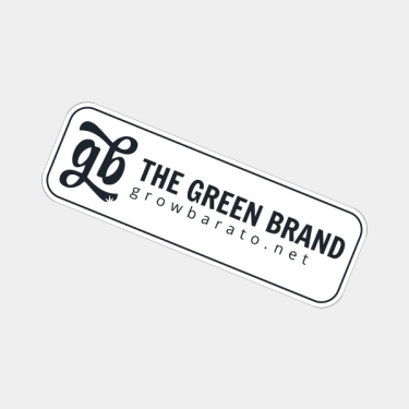 RAW-Set mit einzigartigen Artikeln - GB The Green Brand