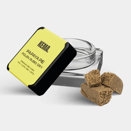 KEMA Trip Kit | Farbenfrohes und jugendliches Raucher-Set 🚬