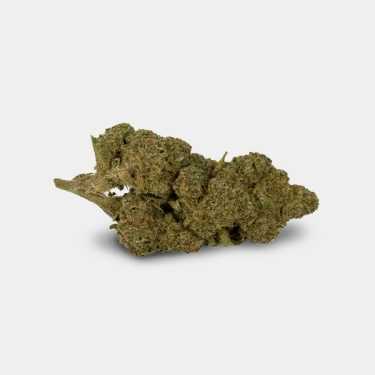 CBD-Blüten GB Outdoor Amnesia - GB The Green Brand