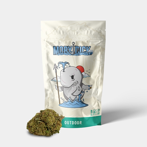 Blumen CBD GB Outdoor Moby Dick - GB The Green Brand
