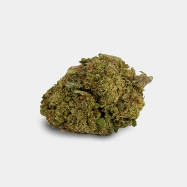 Blumen CBD GB Outdoor Moby Dick - GB The Green Brand