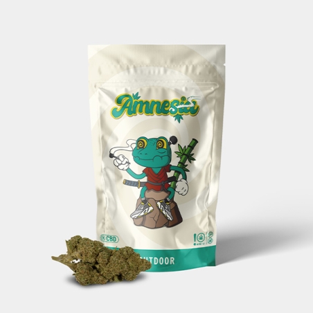 CBD-Blüten GB Outdoor Amnesia - GB The Green Brand