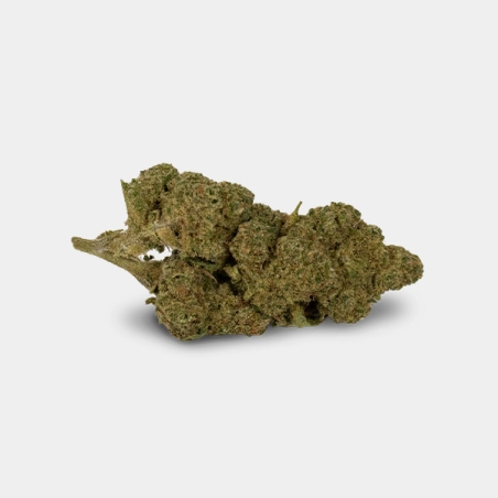 CBD-Blüten GB Outdoor Amnesia - GB The Green Brand