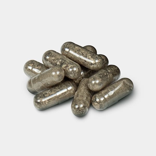 Psilocybin-Mikrodosierungskapseln